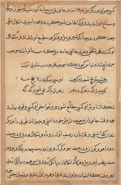 鹦鹉的故事》中的一页Tuti-nama：文本页，约1560年。 作者 不明
