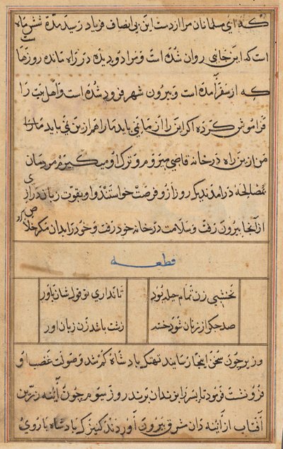 鹦鹉的故事》中的一页Tuti-nama：文本页，约1560年。 作者 不明