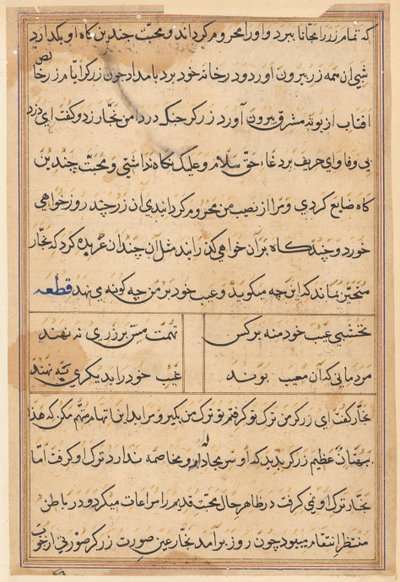 鹦鹉的故事》中的一页Tuti-nama：文本页，约1560年。 作者 不明