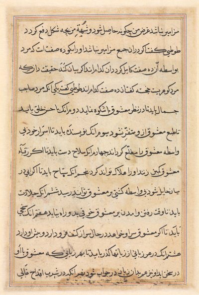 鹦鹉的故事》中的一页Tuti-nama：文本页，约1560年。 作者 不明
