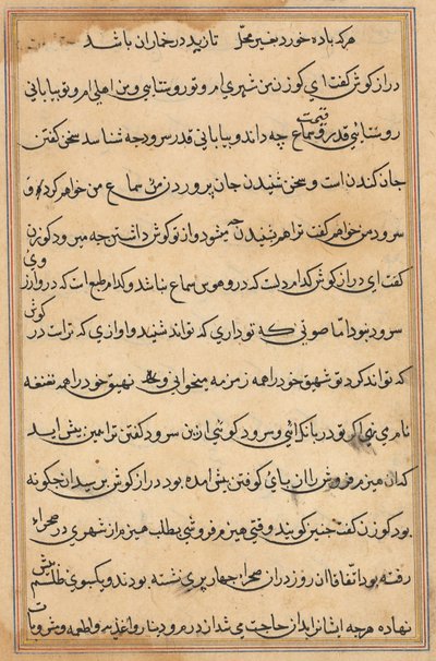 鹦鹉的故事》中的一页Tuti-nama：文本页，约1560年。 作者 不明