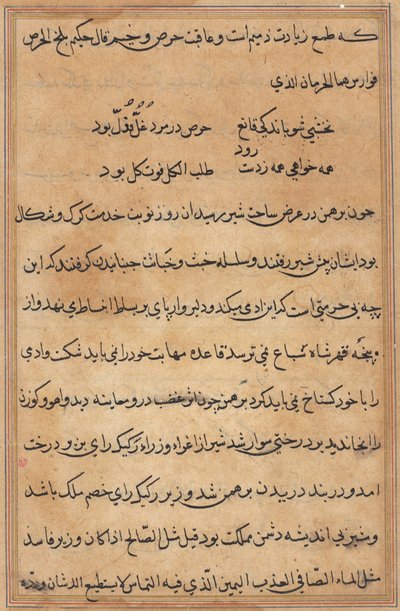 鹦鹉的故事》中的一页Tuti-nama：文本页，约1560年。 作者 不明
