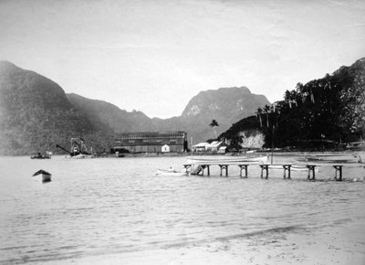 帕果帕果港口，位于美属萨摩亚图图伊拉岛，1889年 作者 不明