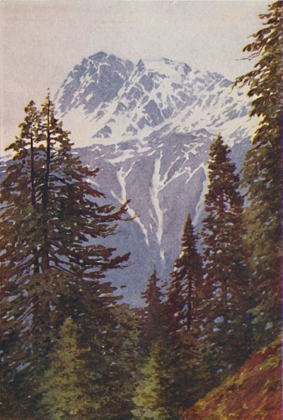1924年在喜马拉雅山山顶 作者 不明