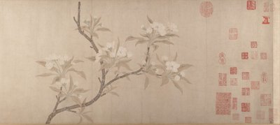 梨花开1280。 作者 不明