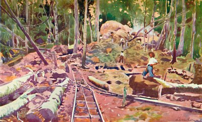 深入亚马逊森林-马德拉-马莫雷铁路，1914年 作者 不明