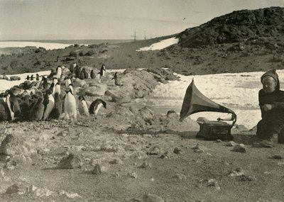 企鹅在1908年，1909年夏天听留声机 作者 不明