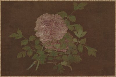 牡丹，15世纪。 作者 不明