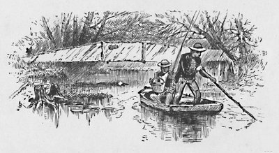 1883年在湖上栖息的鲈鱼 作者 不明