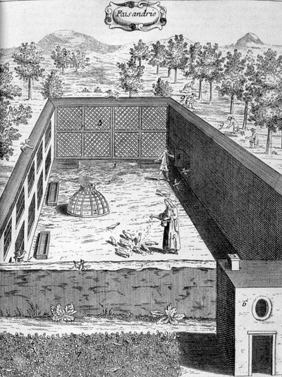 胸甲，1775年 作者 不明