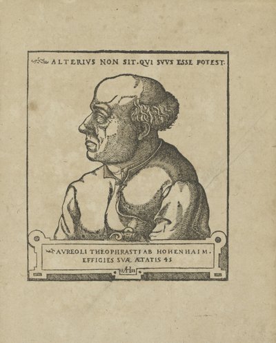 Philippus Theophrastus Aureolus Bombastus von Hohenheim Paracelsus，约1538年。 作者 不明