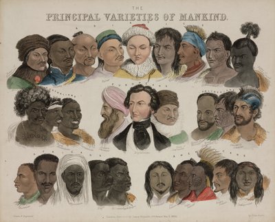 相貌“人类的主要品种”，1850 年 5 月 3 日 作者 不明