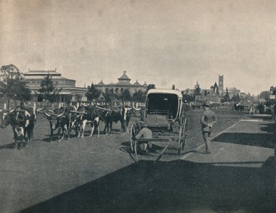 彼得马里茨堡，摄于1900年。 作者 不明