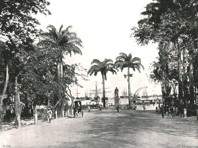 d&39;Armes广场，毛里求斯路易港，1895年。 作者 不明