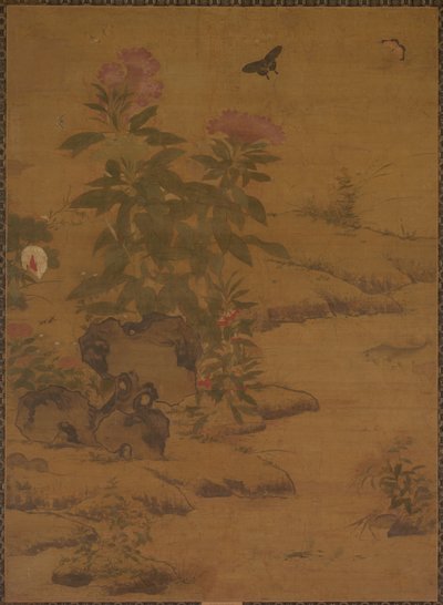 植物和昆虫，1368-1644年。 作者 不明