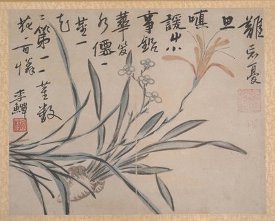 植物和蔬菜》，日期为1740年。 作者 不明
