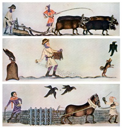 耕作，播种和耙地，c1300-1340，c1900-1920 作者 不明