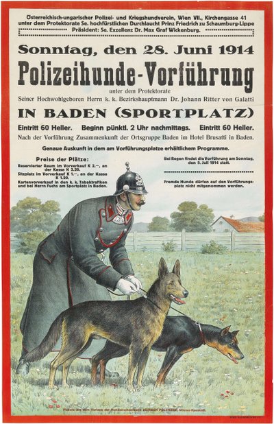 巴登的警犬示威活动，1914年。 作者 不明