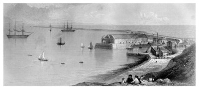 波特兰港和防波堤，1866年 作者 不明