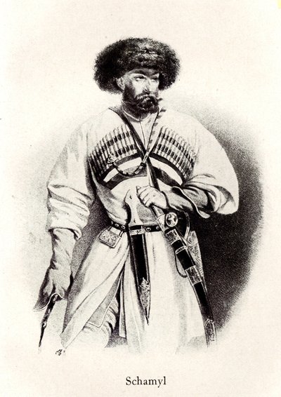 伊玛目沙米尔肖像1799-1871年，十九世纪 作者 不明