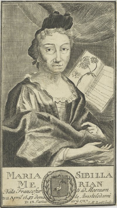玛丽亚·西比拉·梅里安（Maria Sibylla Merian）肖像（1647-1717），1755年。 作者 不明