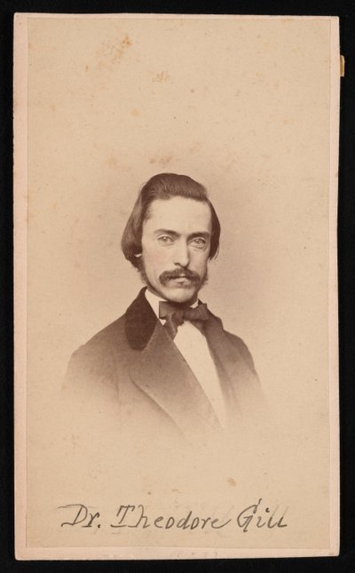 西奥多-尼古拉斯-吉尔的肖像，1837-1914年，约1860年代。 作者 不明