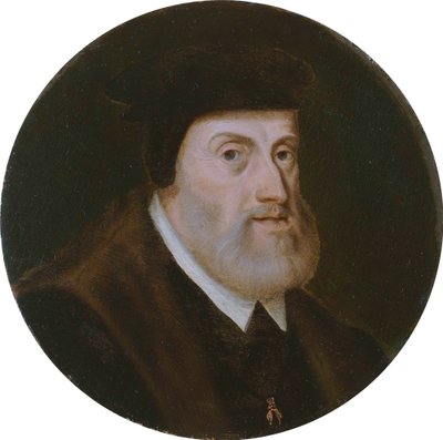 查理五世（1500-1558年）的画像c。 1550 作者 不明