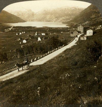 Roldal漂亮的山寨村庄和湖泊，在崎Western的挪威西部，c1905。 作者 不明