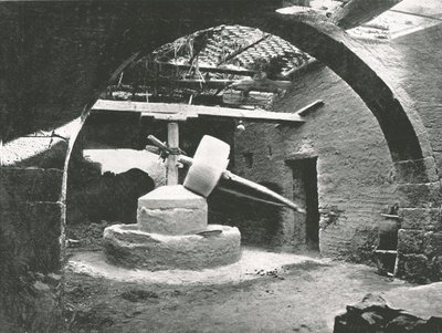 原始玉米磨坊，埃及尼罗河三角洲，1895年。 作者 不明
