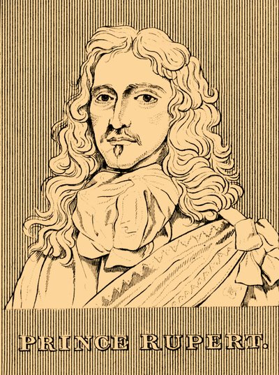 鲁珀特王子（Prince Rupert），1619-1682年，1830年。 作者 不明