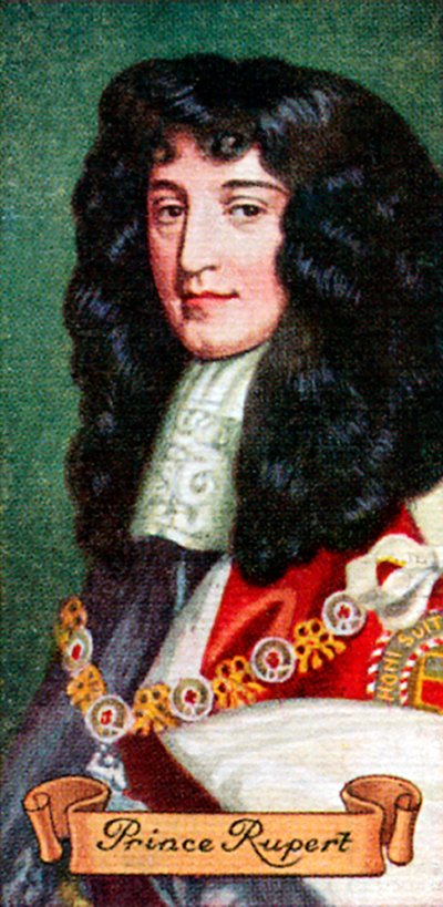 鲁珀特王子（Prince Rupert），摘自一系列香烟卡，1935年 作者 不明