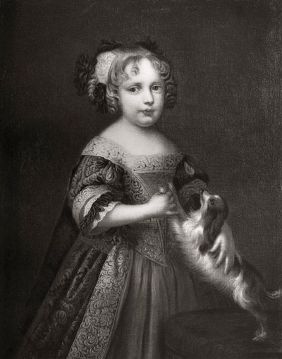 后来的公主安妮女王（Queen Anne），c1670-1675年1906年 作者 不明