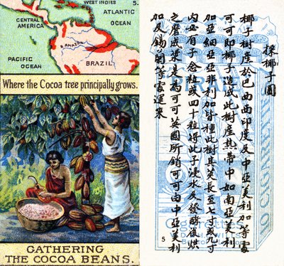 可可生产的主要地区，来自威尔斯 "海盗 "香烟为中国市场制作的 "世界产品 "系列烟卡。 作者 不明