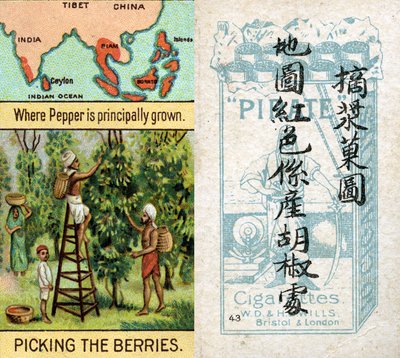 胡椒的主要生产地区，来自威尔斯 "海盗 "香烟为中国市场制作的 "世界产品 "系列烟卡。 作者 不明