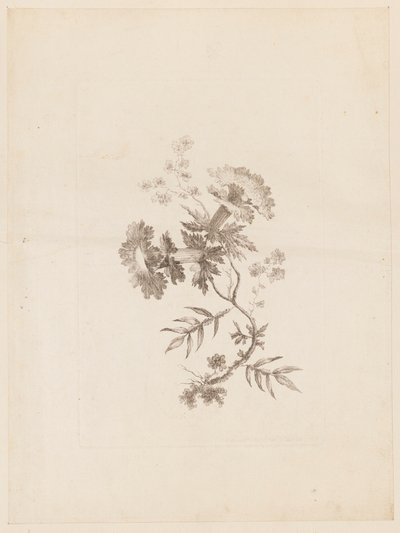 印刷品(法国) 作者 不明