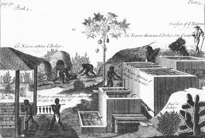 生产带有奴役的靛蓝染料：西印度群岛或中美洲，1725年 作者 不明