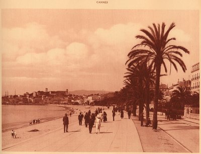 Croisette和Mont Chevalier大道，戛纳，1930年。 作者 不明