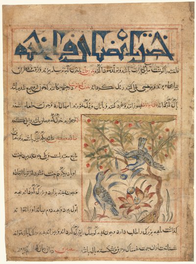 从Manafi al-Hayawan上摘录的环斑鸠的品质：动物的实用性，c。 1300。 作者 不明