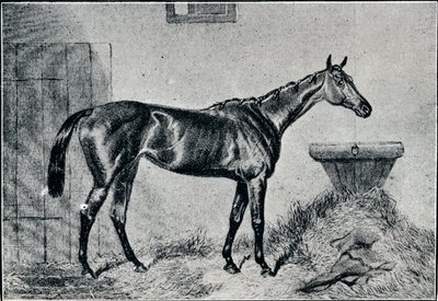 伯莎女王（Queen Bertha），19世纪，1911年 作者 不明