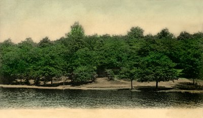 昆斯米尔，温布尔登公园，伦敦，1903年。 作者 不明
