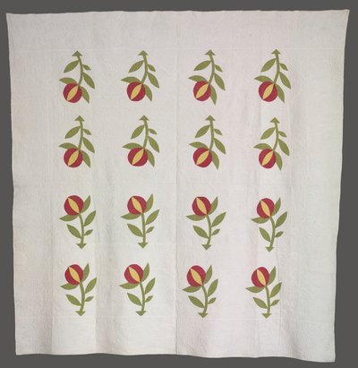 被子c。 1880年。 作者 不明