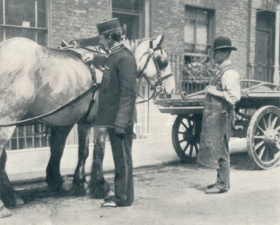 RSPCA检查员检查一匹马，c1903 1903 作者 不明