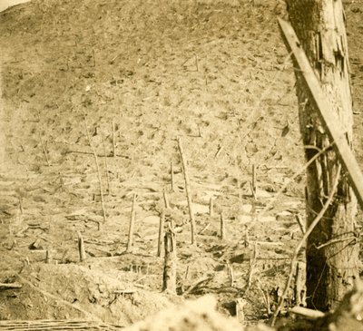 法国北部LesÉparges的山沟，c1914-c1918。 作者 不明