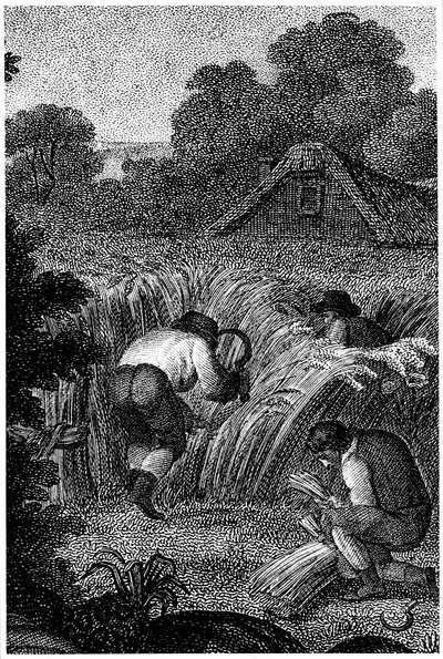 用镰刀收割并捆捆捆绳轮，英格兰，c1800 作者 不明