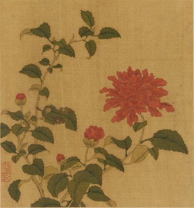 红牡丹，清代，18世纪。 作者 不明