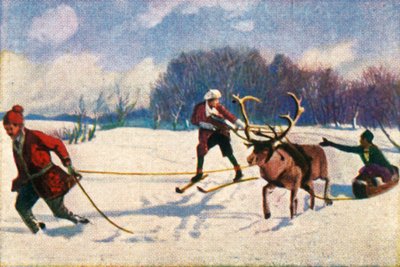 瑞典驯鹿爬雪橇，摄于1928年。 作者 不明