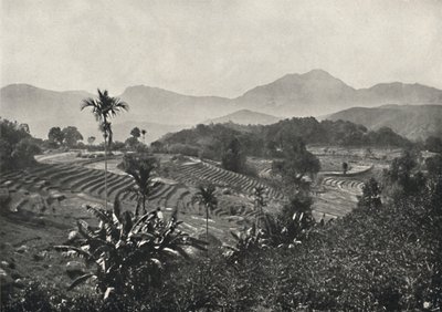 1926年在Terrasen停泊的旅行场 作者 不明