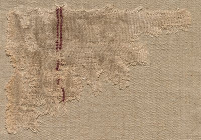 Rep Cloth，3世纪。 作者 不明