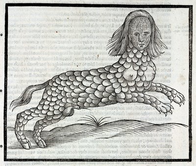 "Representation de la creature Lamia (Sybaris) Gravure tiree de "History of Four-Footed Beastes" d