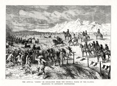 1877年，南美罗迪欧 作者 不明